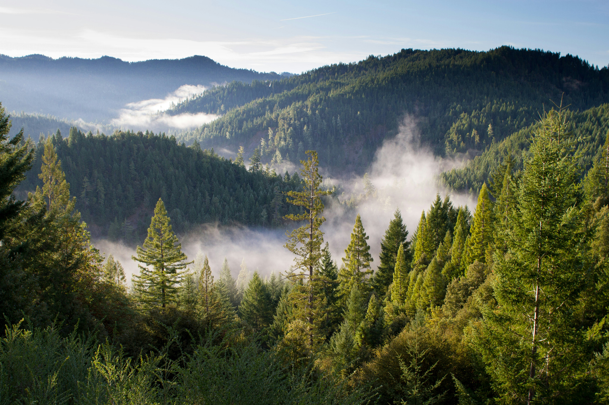 Forestry industry operations