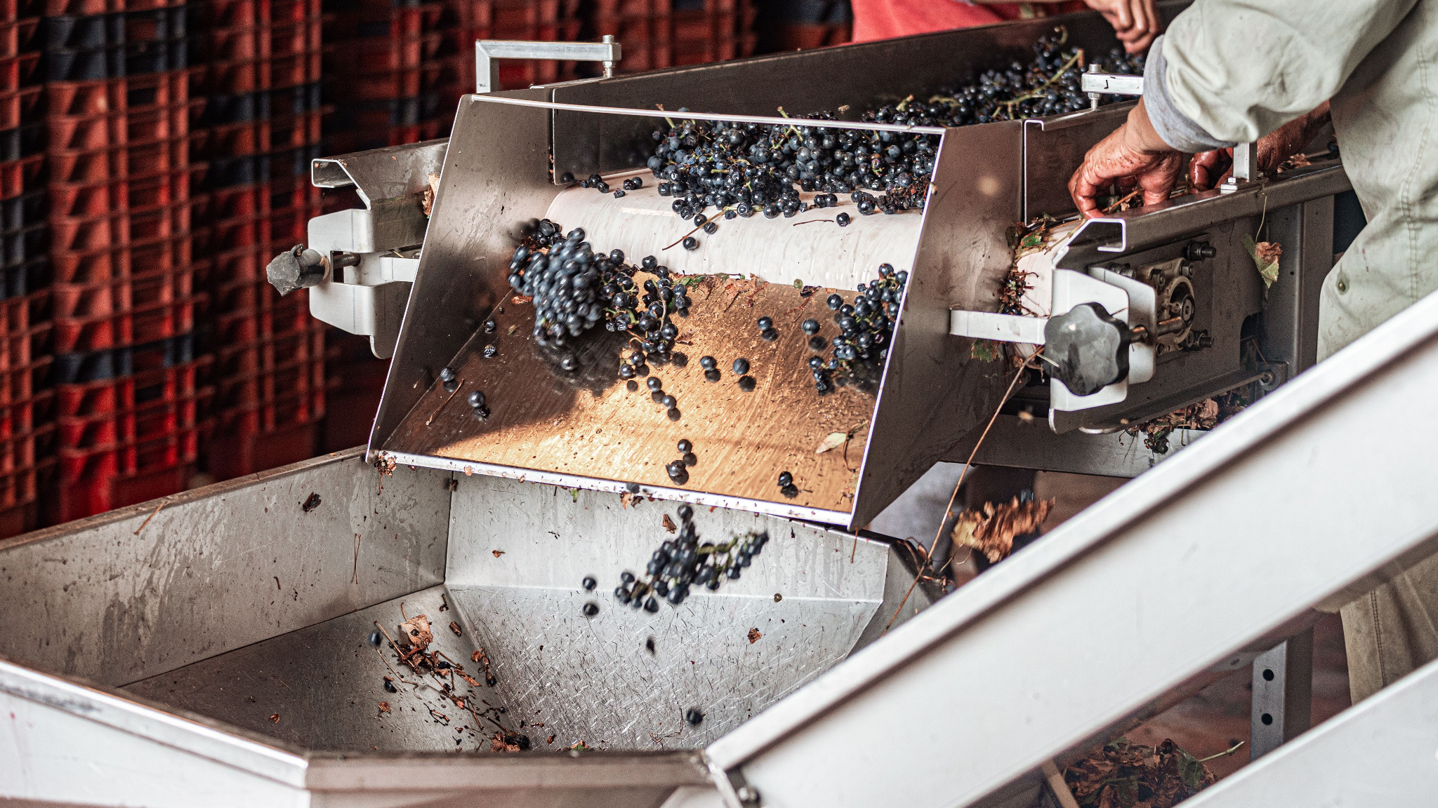 Food ingredients moving through a production process