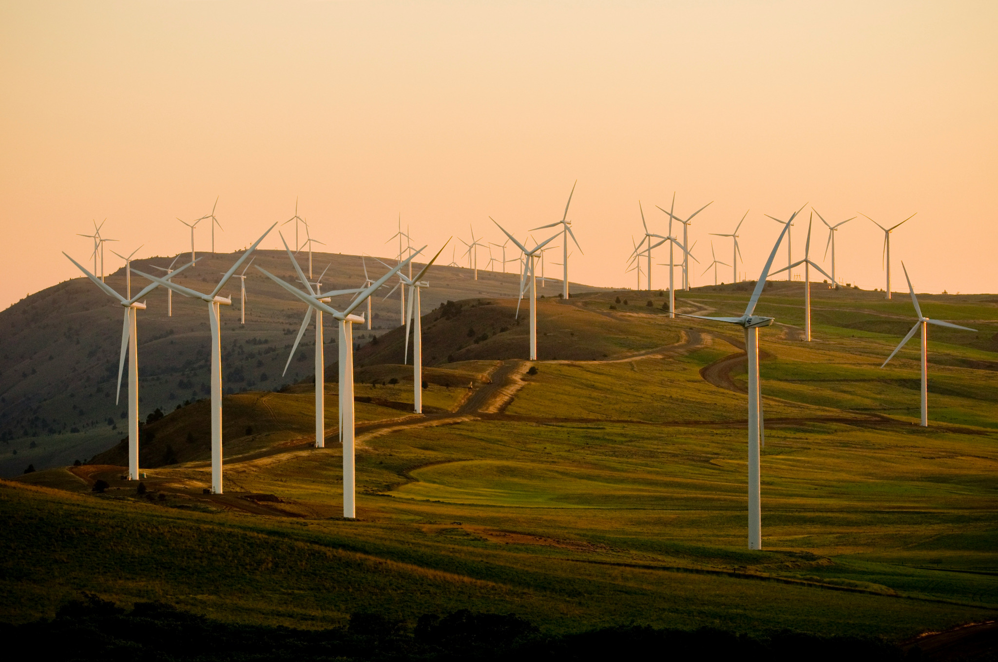 Wind farm extending across rolling hills at sunset