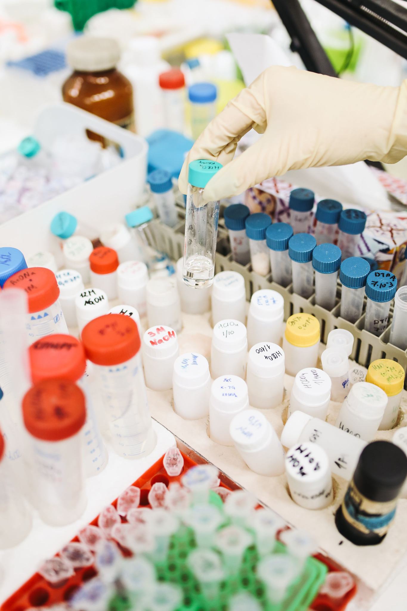 Supplement Manufacturing Support application photography