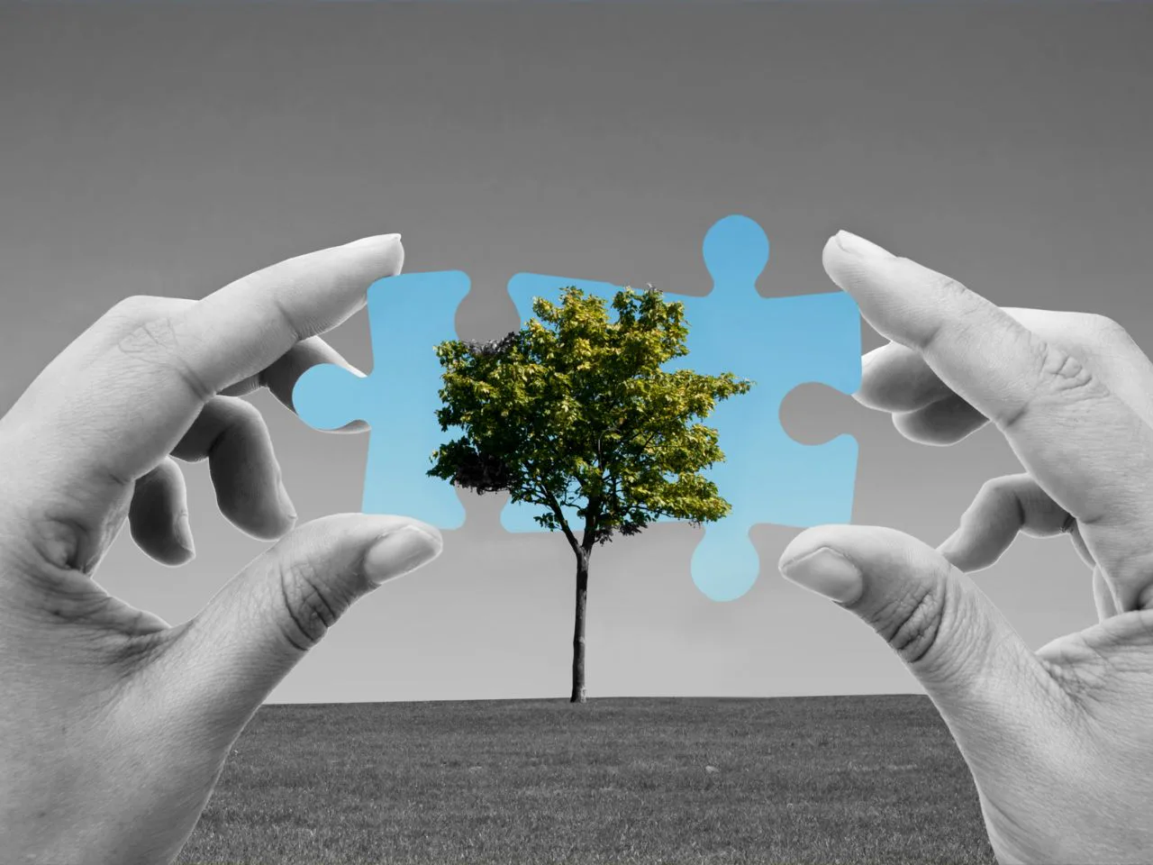 Sustainability represented through environmental collaboration